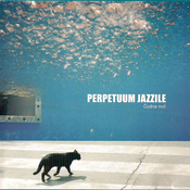 posneti mediji PERPETUUM JAZZILE - ČUDNA NOČ, (392173)