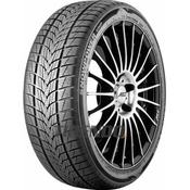 Tristar Snowpower UHP ( 255/55 R20 110V XL )