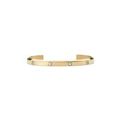 Zapestnica Daniel Wellington