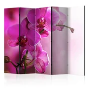 artgeist Paravan Pink Orchid, 5-Delni, Dvostranski