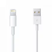 Original USB kabel Apple iPhone iPad Lightning 2m Outlet