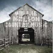 Willie Nelson - Country Music (2 LP)