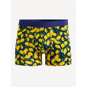 Celio Boksarice Gibolemon S