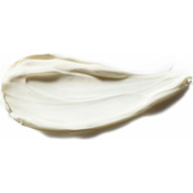 Antipodes Vanilla Pod hidratantna dnevna krema za lice 15 ml