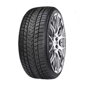 Gripmax Status Pro Winter ( 315/30 R21 105V XL )