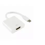 S BOX Adapter HDMI /USB Type C