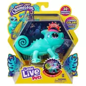 Lil chameleon sunny ( ME26364 )