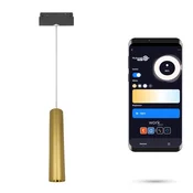 LED WiFi Zigbee cevna viseča svetilka zlata 10W za magnetne tirnice SMART TRACK 48VDC 3000-5000K 10W zatemnljiva