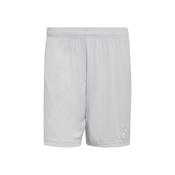 ADIDAS PERFORMANCE Športne hlače ENT26 siva/bela