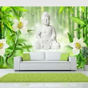 Foto tapeta - Buddha and nature 350x245