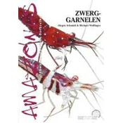 Art für Art: Zwerggarnelen