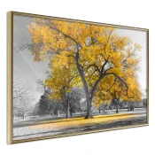 Poster - Golden Tree 60x40