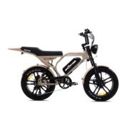 Ape Ryder elektricni bicikl MANDRIL ULTRA beige