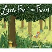 Little Fox in the Forest