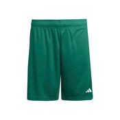 ADIDAS PERFORMANCE Športne hlače ENT26 zelena