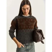 Bianco Lucci Pulover Pullover temno siva