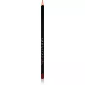 Anastasia Beverly Hills Lip Liner črtalo za ustnice odtenek Raisin 1,49 g