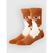 Stance brown