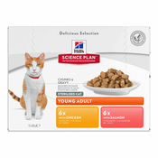Hills Science Plan Young Adult Sterilised - Piščanec & losos (12x85 g)