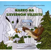MARKO NA SJEVERNOM VELEBITU