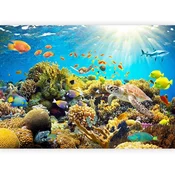 artgeist Fototapeta Underwater Land, 100x70cm