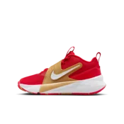 Nike Team Hustle D 12 Older Kids Basketball Shoes