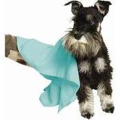Krpa za pse iz mikrofibre perfect Care - Canina - Čiščenje uhljev - Čiščenje oči in uhljev - Canina