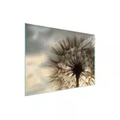 shumee STEKLENA ZAŠČITNA PLOŠČA ZA ŠTEDILNIK 70x52 FLOWER