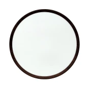 LED plafonsko svetlo LED/32W/230V 3000/4000/6500K precnik 40 cm braon
