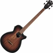 IBANEZ AEGB24E Akusticna gitara