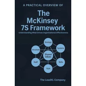 A Practical Overview of The McKinsey 7S Framework