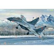 Russian MiG-29 UB Fulcrum