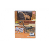 Kreativni set iskopaj dinosaurursa C8 ( 11/23078 )