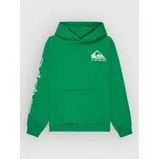 Quiksilver Omni Logo Kids Hoodie leprechaun