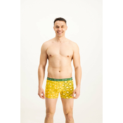 Mens boxers Frogies Zodiac Dvojček