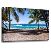 shumee Platno Narava Ocean in palme 60x40 cm