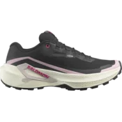 Salomon GENESIS 2 GTX W, ženske patike za trail trcanje, siva L49309300