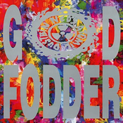 Neds Atomic Dustbin - God Fodder (Reissue) (180 g) (LP)