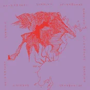 Neighbours Burning Neighbours - Burning Neighbours (LP)