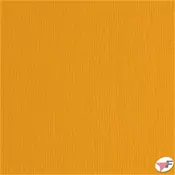 Papir specijal risaci B1 220gr Fabriano LR aragosta narancasti