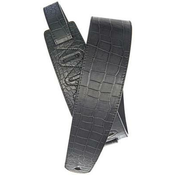 PLANET WAVES pas ZA KITARO 25ALI-01