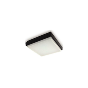 LED2 - LED spoljašnje plafonsko svetlo QUADO LED/10W/230V antracit IP54