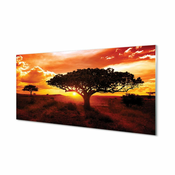 tulup.si Zidna obloga za kuhinju Drevesa oblaki zahod 120x60 cm
