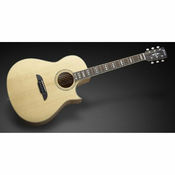 NATURAL elektro-akustična kitara FRAMUS FC 44 SMV-Vintage Transparent High Polish T