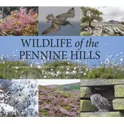 Wildlife of the Pennine Hills