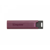 USB stick   Kingston Max         Crvena 256 GB