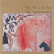 Graham Coxon - The Sky Is Too High (CD)