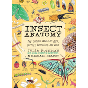 Insect Anatomy