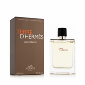 Hermes Terre DHermes Eau de toilette 100ml bottle