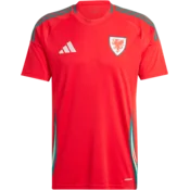 adidas Dres Wales Home 2024